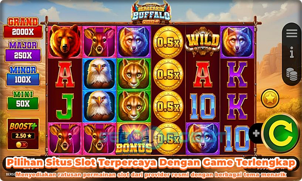 Alasan Scatter Hitam Sangat Menarik